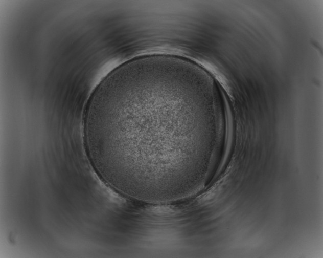 X0000093210998200709261553