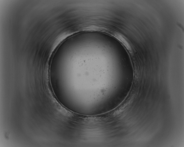 X0000093211000200709261553