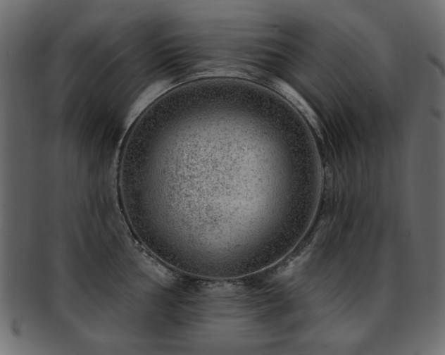 X0000093211002200709261553