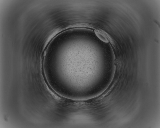 X0000093211006200709261553