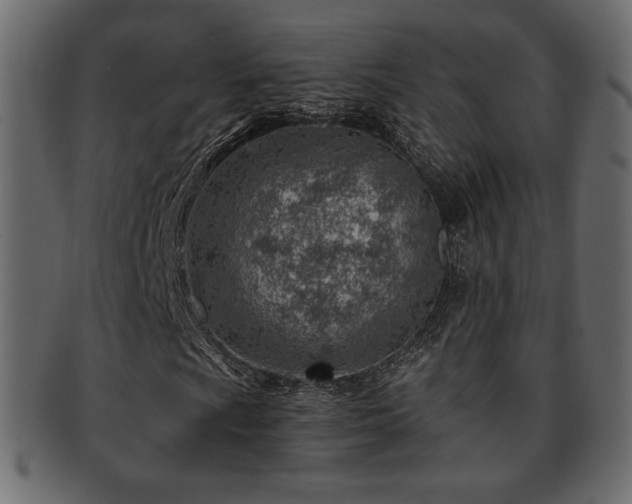 X0000093211009200709261552