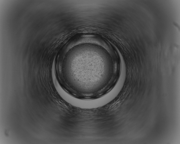X0000093211010200709261552