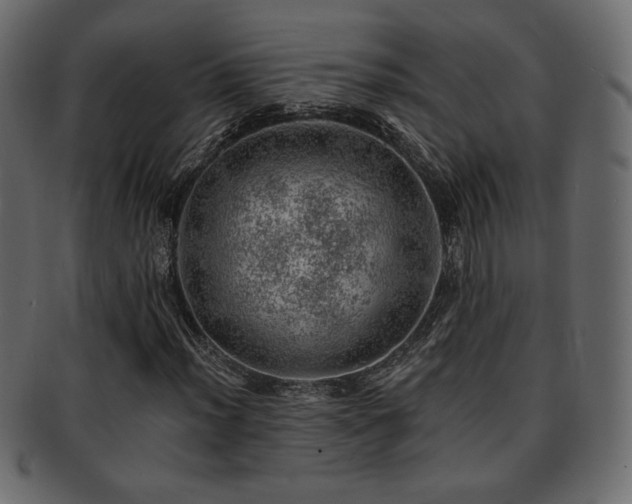 X0000093211012200709261552