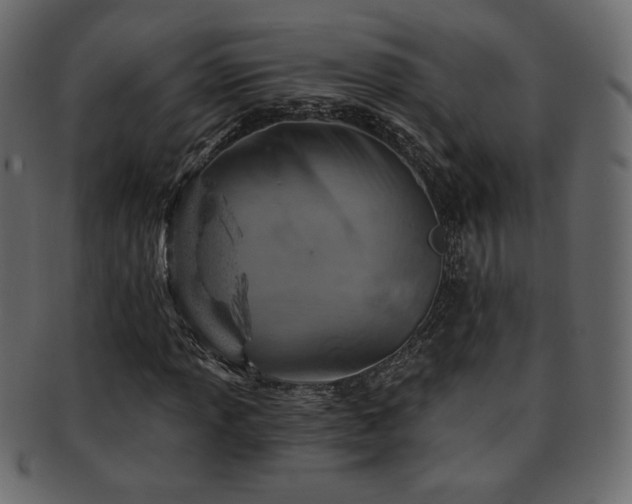 X0000093211013200709261552