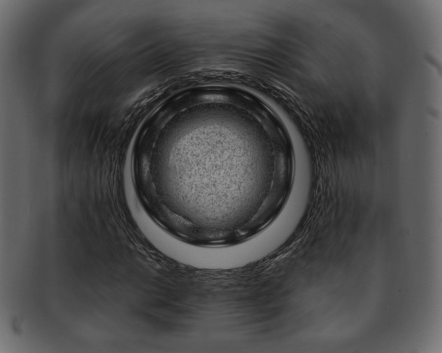 X0000093211014200709261552