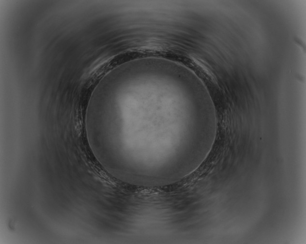 X0000093211015200709261552