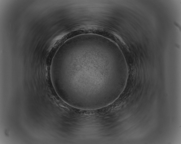 X0000093211016200709261552