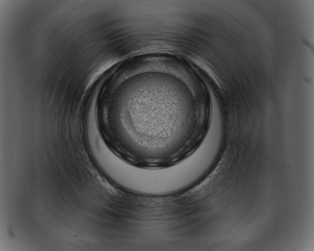 X0000093211018200709261552