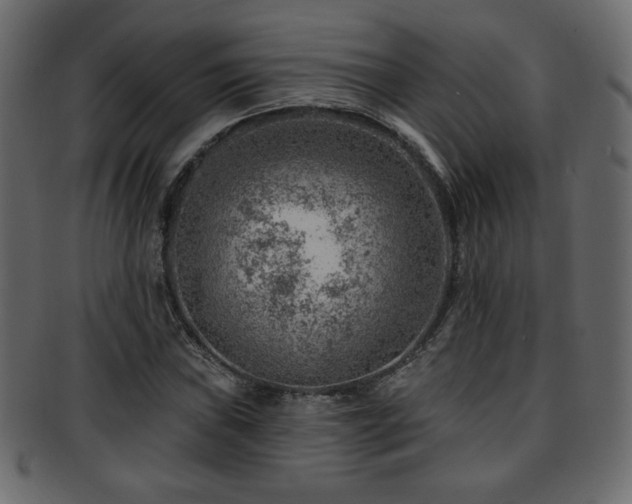 X0000093211019200709261552