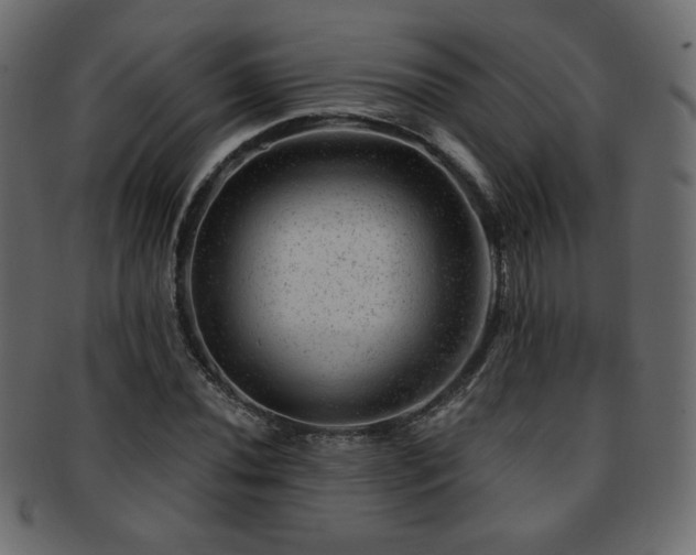 X0000093211020200709261552
