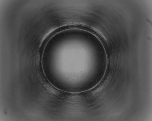 X0000093211021200709261552
