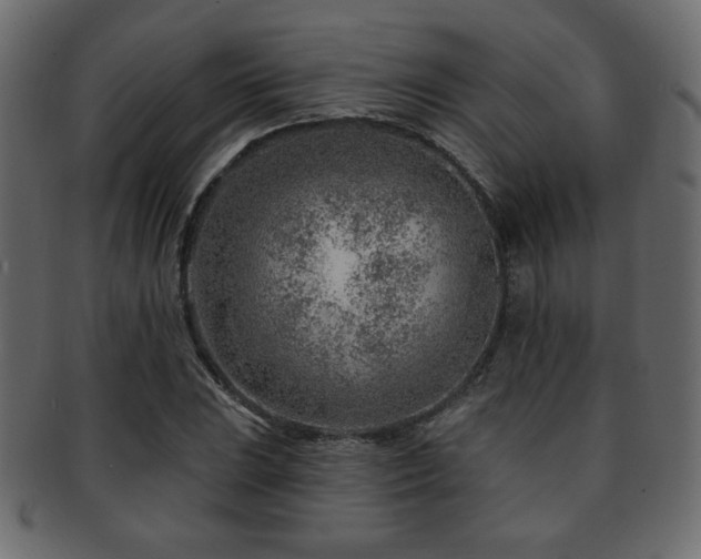 X0000093211023200709261552