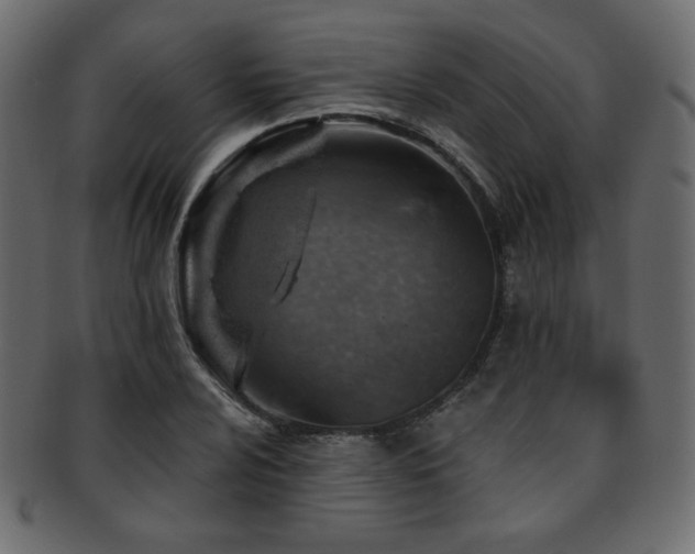 X0000093211024200709261552