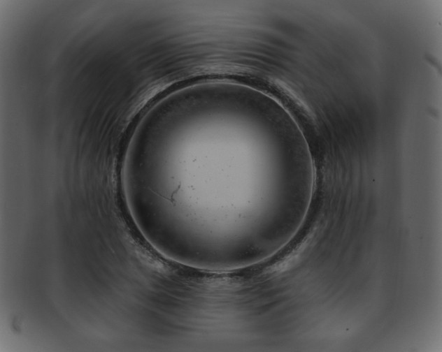 X0000093211025200709261552