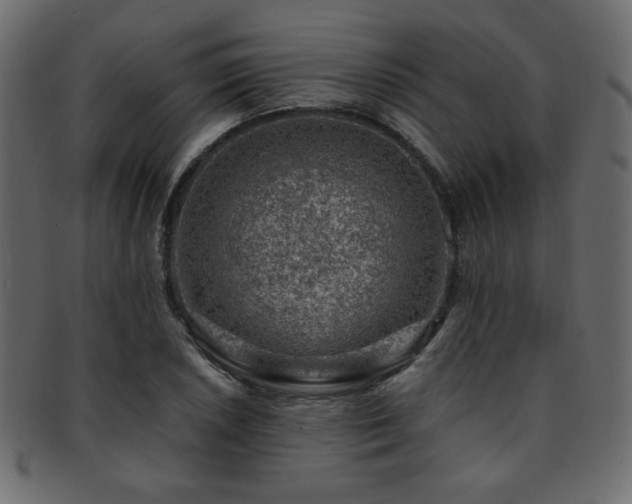 X0000093211026200709261552