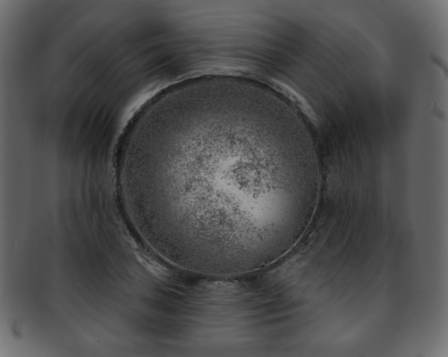 X0000093211027200709261552