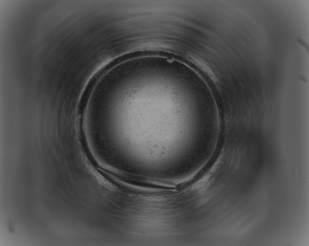 X0000093211029200709261552