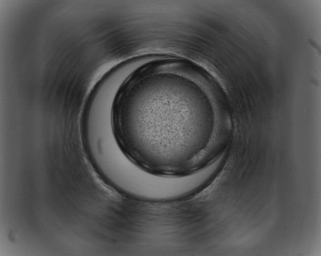 X0000093211030200709261552