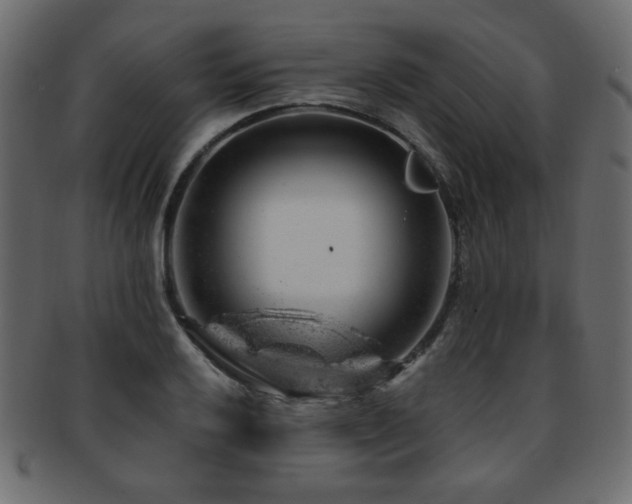 X0000093211032200709261552