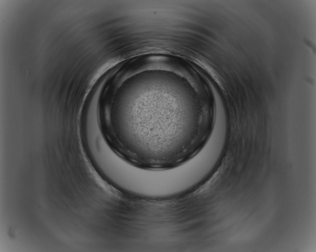 X0000093211034200709261552