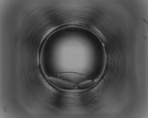X0000093211036200709261552