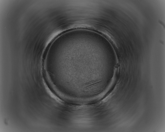 X0000093211038200709261552