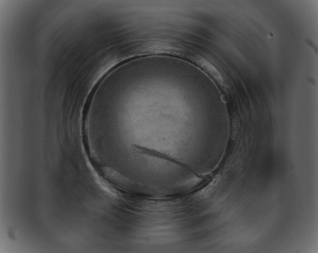 X0000093211039200709261552
