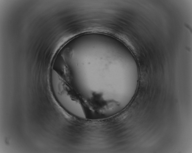 X0000093211040200709261552