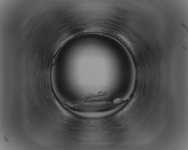X0000093211041200709261552
