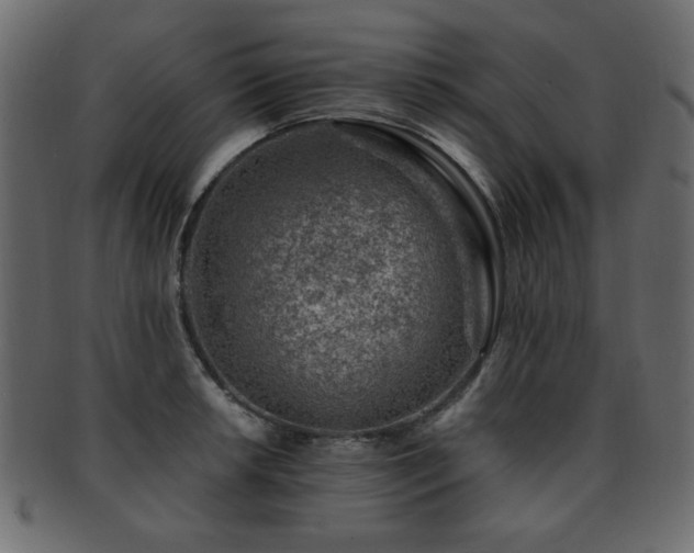 X0000093211042200709261552