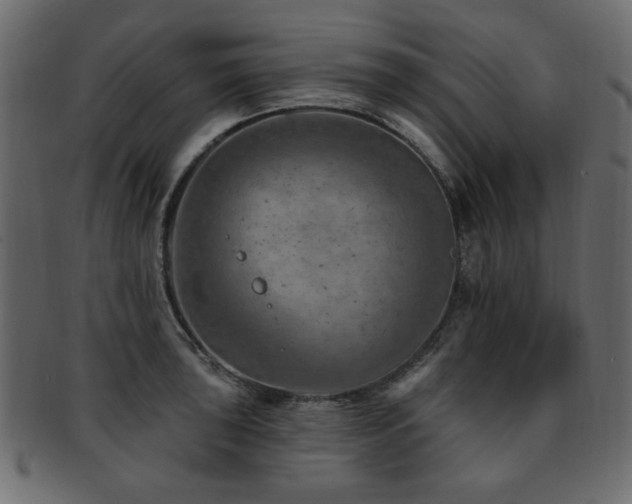 X0000093211043200709261552