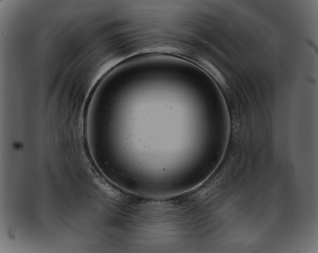 X0000093211044200709261552