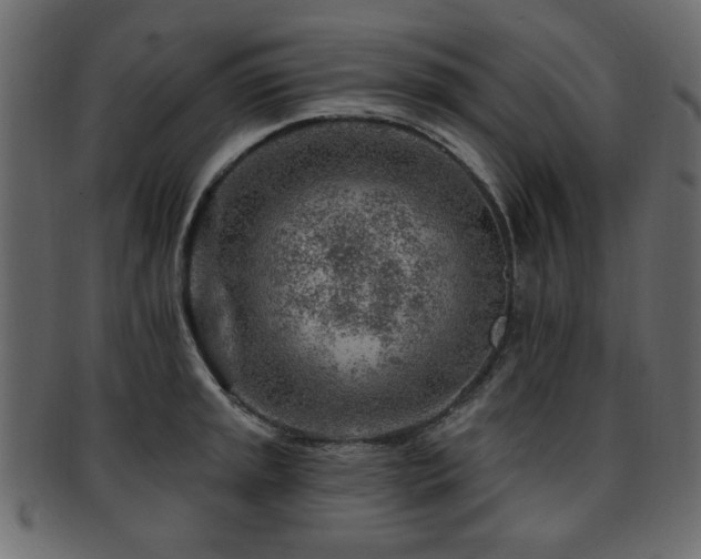 X0000093211045200709261552