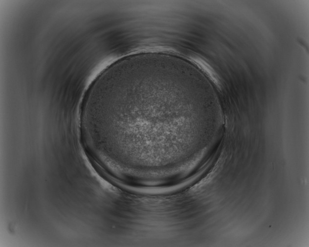 X0000093211046200709261552