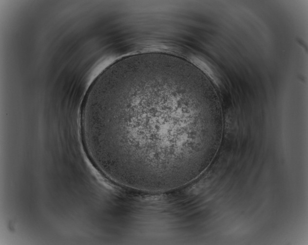 X0000093211047200709261552