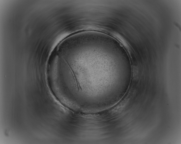 X0000093211048200709261552