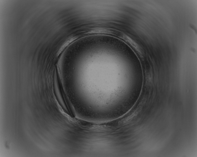 X0000093211049200709261552