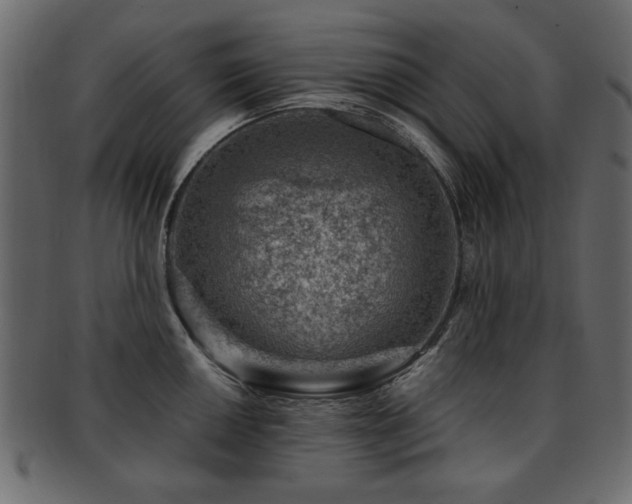 X0000093211050200709261552