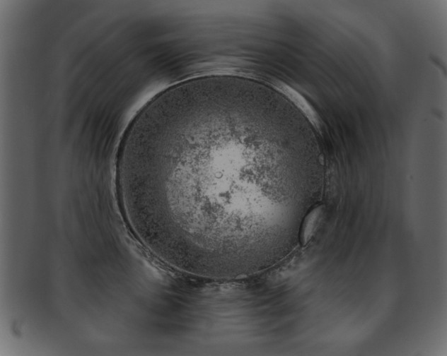 X0000093211051200709261552