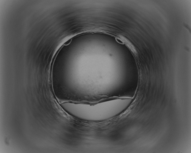 X0000093211052200709261552