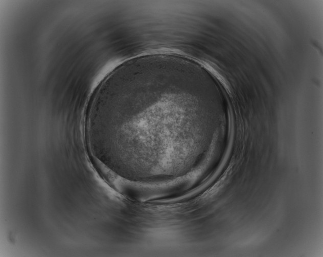 X0000093211054200709261552
