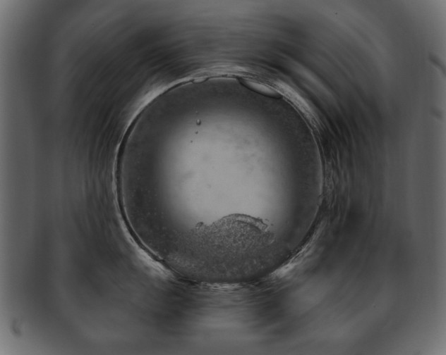 X0000093211055200709261552
