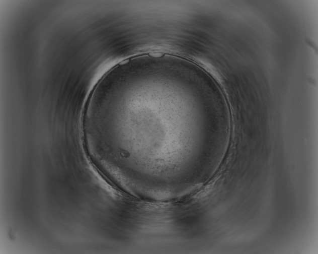 X0000093211056200709261553