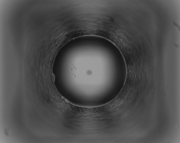 X0000093211057200709261552
