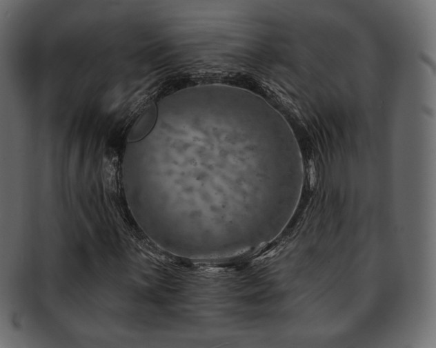 X0000093211059200709261552
