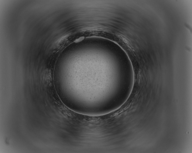 X0000093211062200709261552