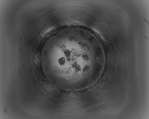 X0000093211063200709261552