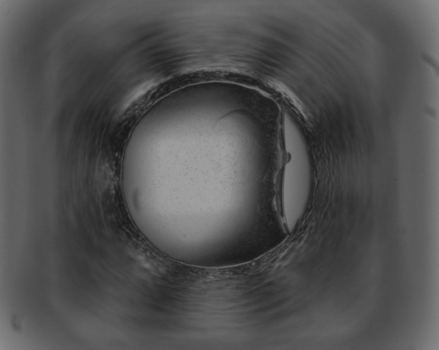 X0000093211064200709261552