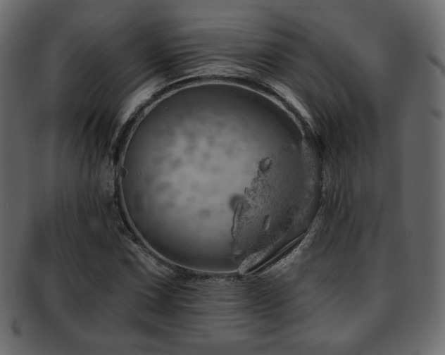 X0000093211067200709261551