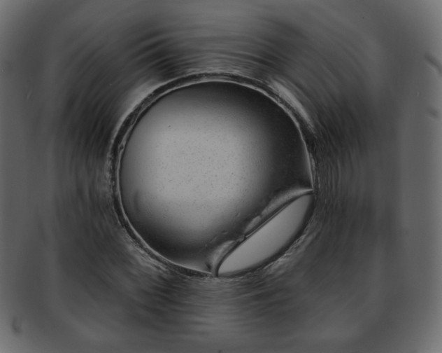 X0000093211068200709261551